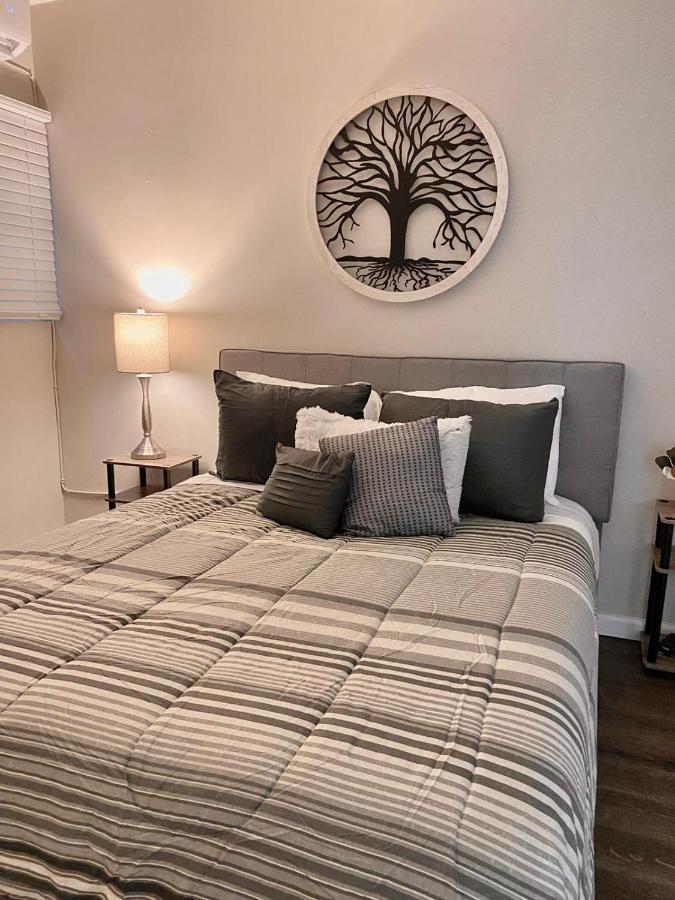 Апартаменты Bonito Departamento Remodelado Tranquilo Y Centrico Сьюдад-Хуарес Экстерьер фото